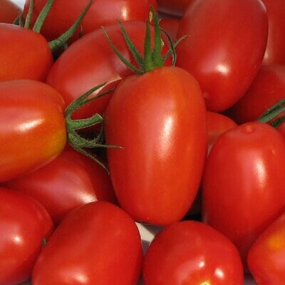 Cherry Tomatoes