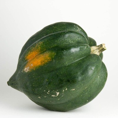 Winter Acorn Squash