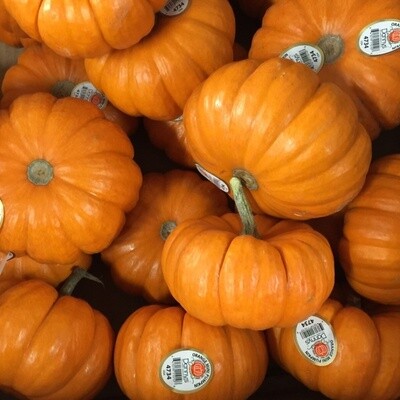 Fall Harvest Online Catalog