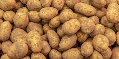 White Potatoes - Field Run