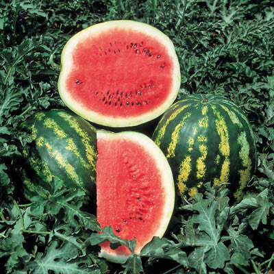 Watermelons