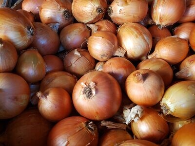 Sweet Yellow Onions