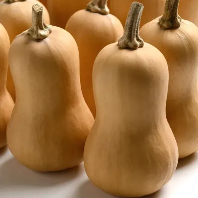 Small Butternut squash