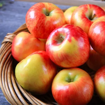 Honey Crisp Apples - 3 Lbs.