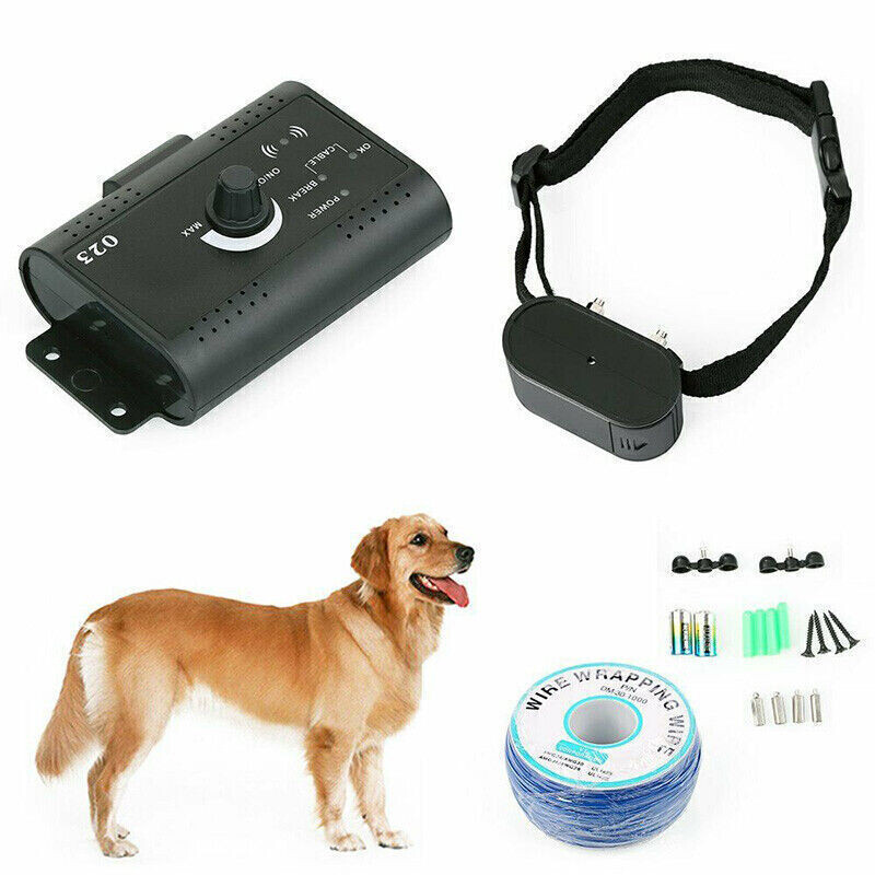 No fence dog collar online