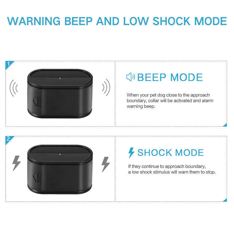 Boundary deals shock collar