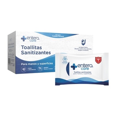 Toallitas Sanitizantes (1,152 toallas desinfectantes)