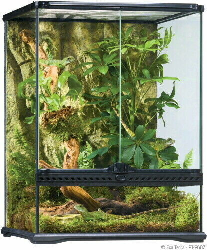 Exo Terra Natural Terrarium Small Tall 45x45x60cm