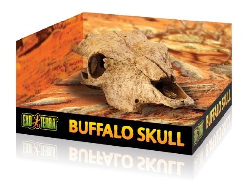 Exo Terra Bufalo Skull