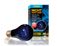 Exo Terra Night Heat Lamp 75 w
