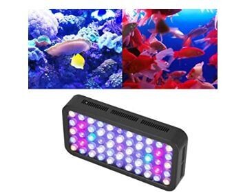 LED Aquarium Light