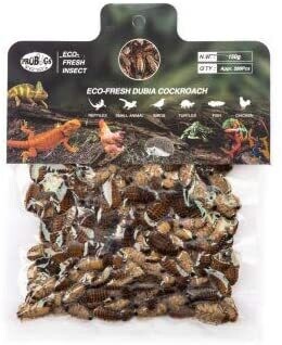ProBugs Eco-Fresh Dubia Cockroach 150g- 288Pcs