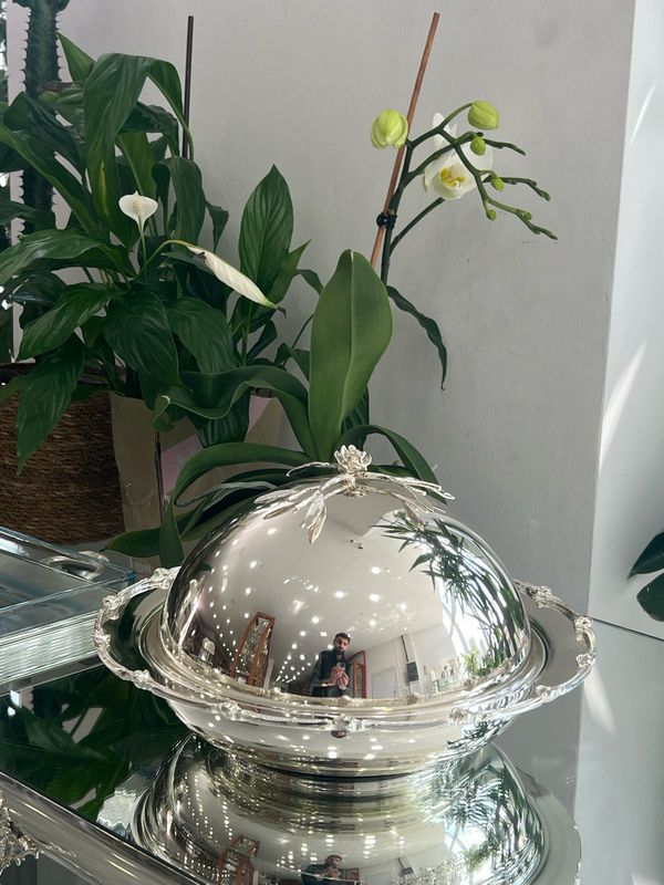 Elegant Serving Bowl with Dome Lid – Silver-Plated Copper