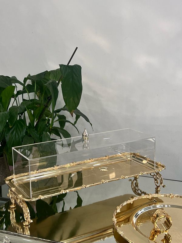 Rectangular Serving Tray with Acrylic Cover – 50×20 cm