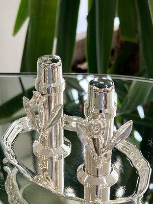Decorative Silver-Plated Salt &amp; Pepper Shakers Set with Floral Design 