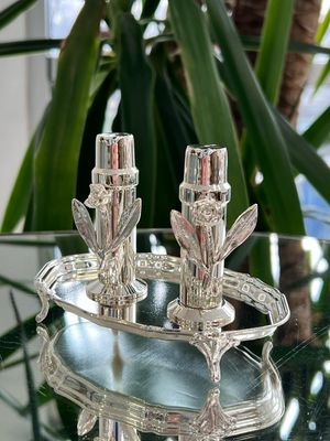 Decorative Silver-Plated Salt &amp; Pepper Shakers Set with Floral Design 