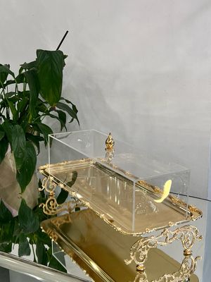 Rectangular Serving Tray with Acrylic Cover – 50×20 cm