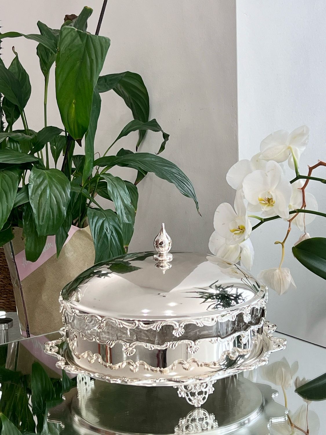 Covered Serving Plate – Model istiridye 