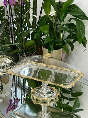 Elevated Serving Tray with Lid – 50×20 cm