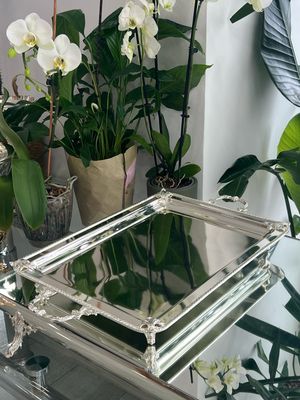 TRAYS