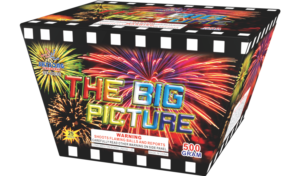 THE BIG PICTURE 25 SHOTS