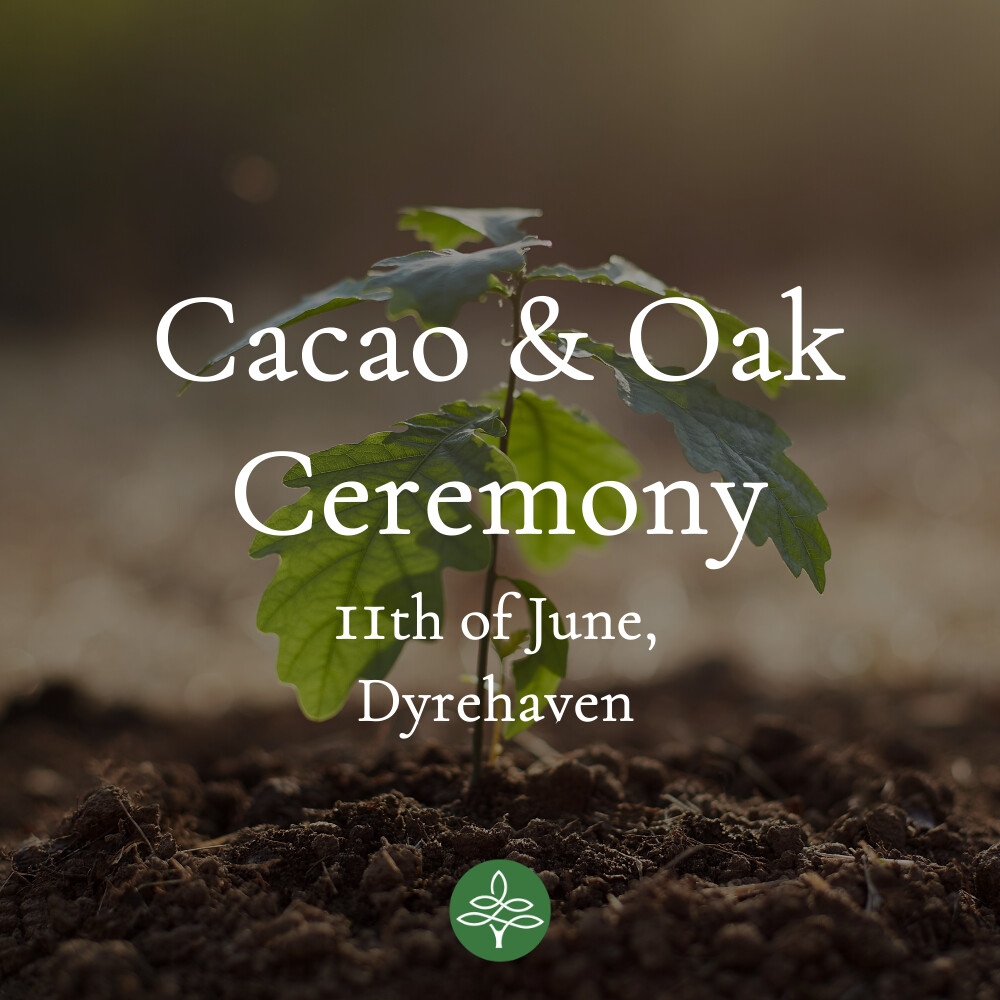 Oak &amp; Cacao Ceremony