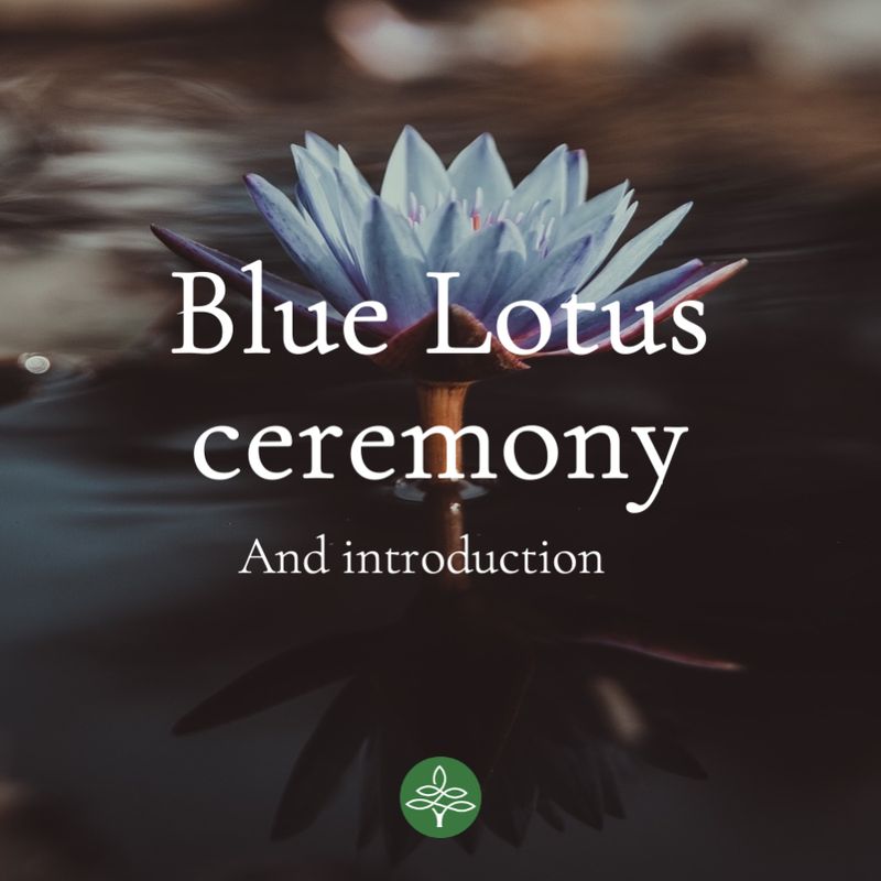 Blue Lotus - Ceremony and Introduction