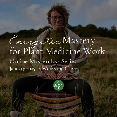 Energetic Mastery for Plant Medicine Work