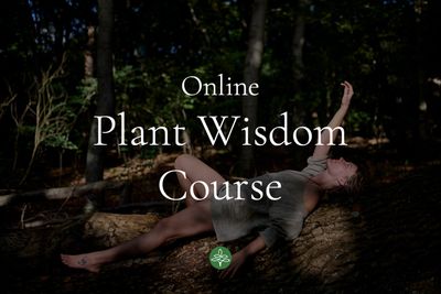 Online Plant Wisdom Course