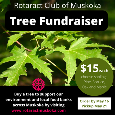 Tree Fundraiser