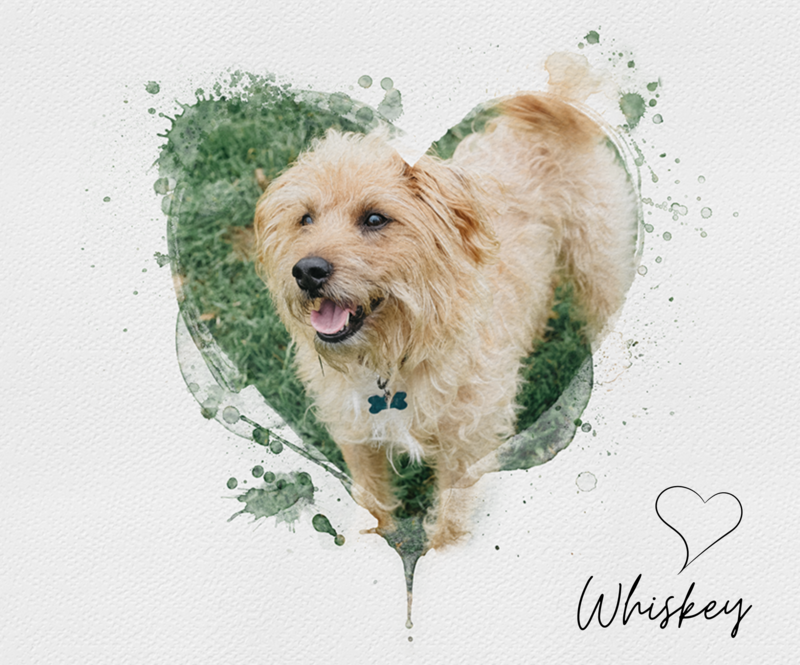 Heart Watercolour