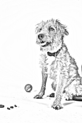 Custom Sketch