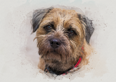Breed Specific Prints