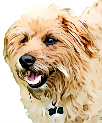 Custom Cartoon