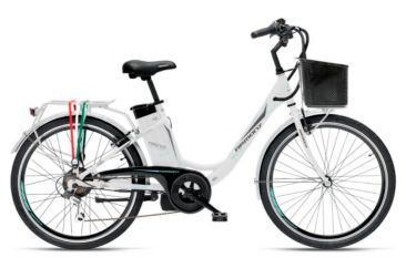 FIRENZE 26&quot;