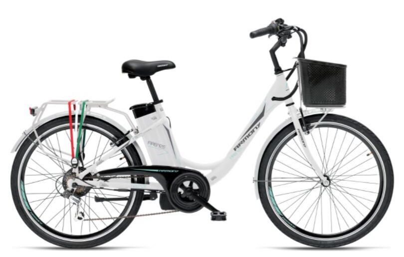 FIRENZE 26&quot;