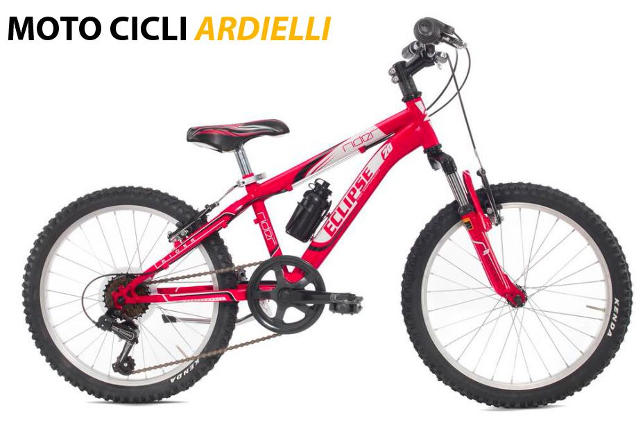 MTB RIDER 20&quot; 6V