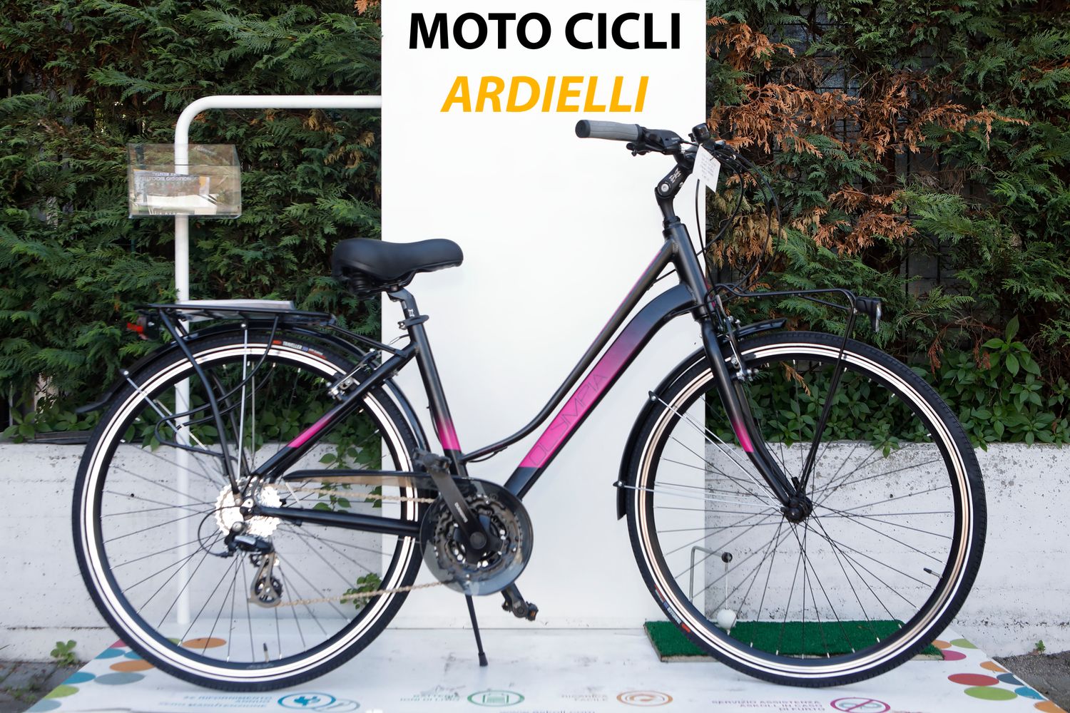 OLYMPIA COLLEGE 21 VEL