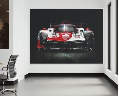 Motorsports