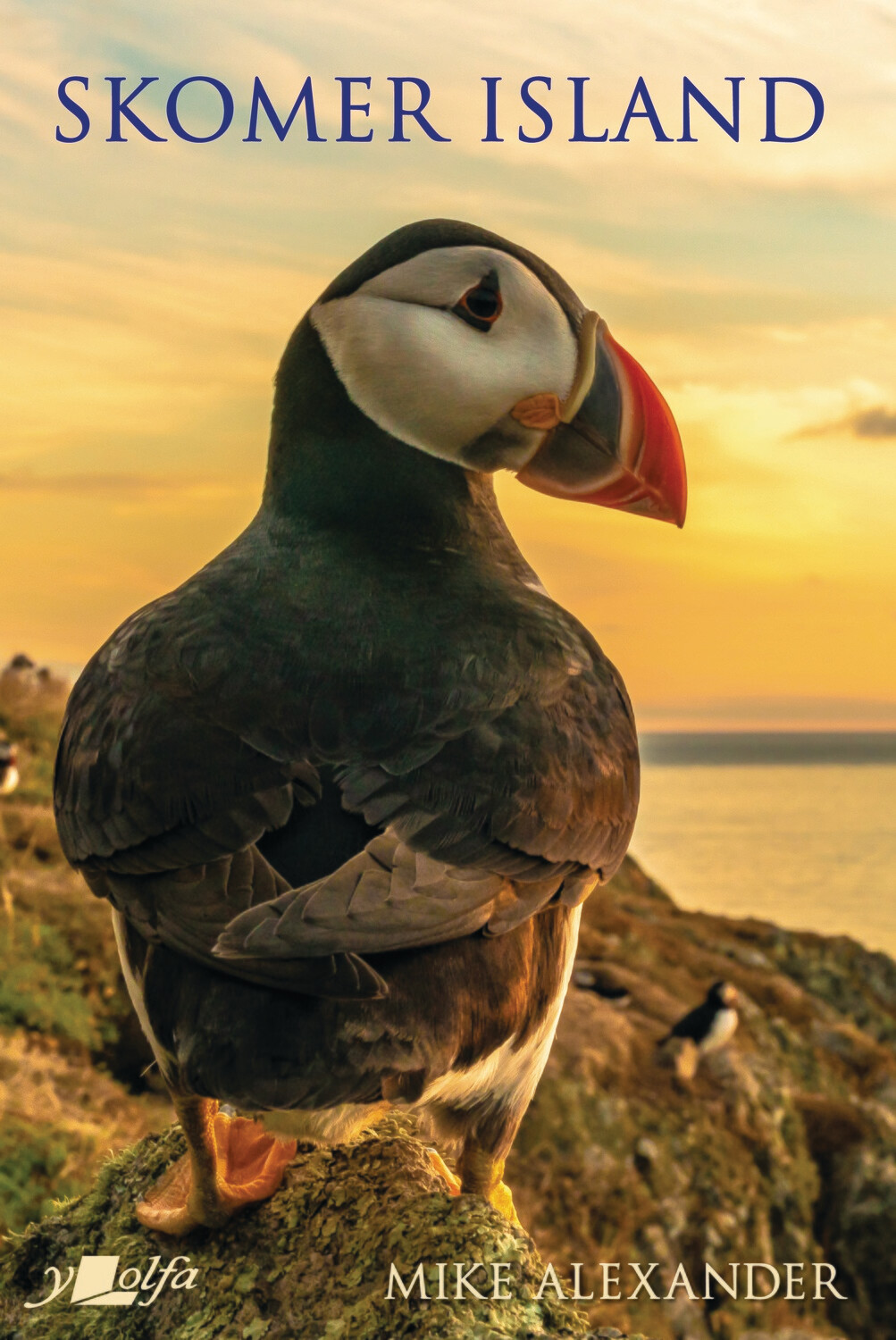 Skomer Island