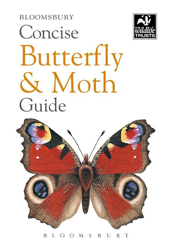 Wildlife Trusts Concise Guide: Butterflies &amp; Moths