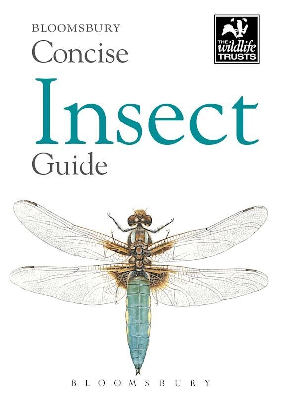 Wildlife Trusts Concise Guide - Insects
