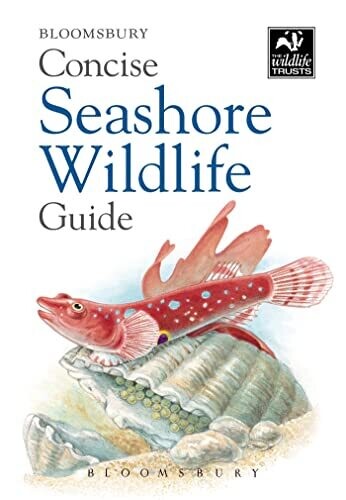 Wildlife Trusts Concise Guide: Seashore Wildlife
