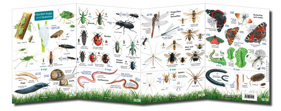 FSC Guide: Garden Bugs &amp; Beasties (Fold-Out ID Chart)