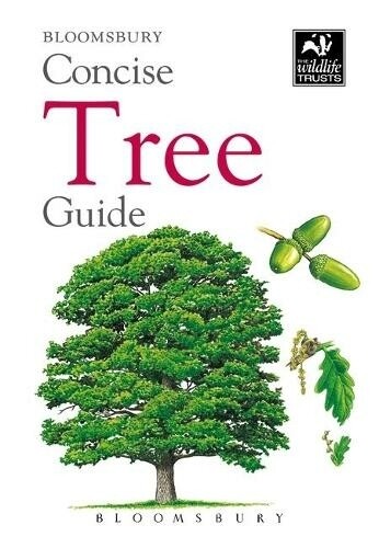 Wildlife Trusts Concise Guide: Trees