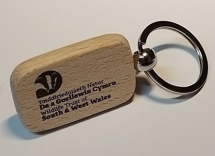 WTSWW Wooden Keyring