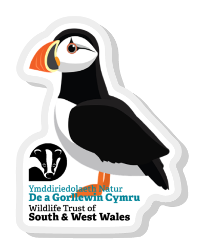 WTSWW Acrylic Puffin Pin Badge