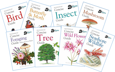 Wildlife Trusts Concise Guides