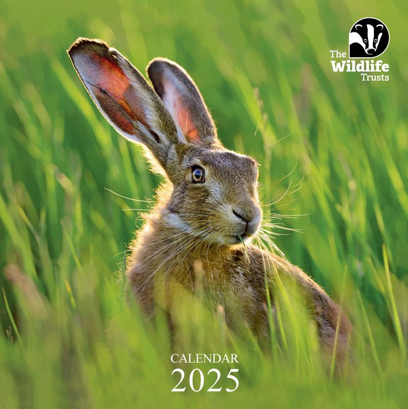 The Wildlife Trust 2025 Calendar