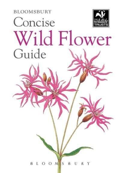 Wildlife Trusts Concise Guide: Wild Flowers